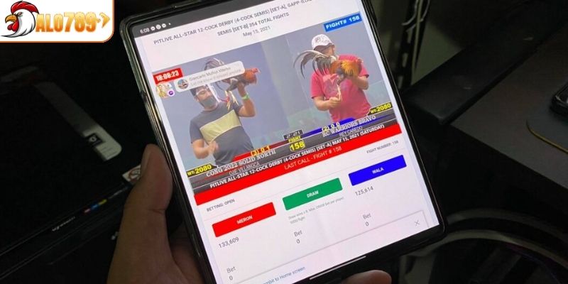 Đăng ký và tham gia cược tại sảnh đá gà ALO789 nhanh gọn